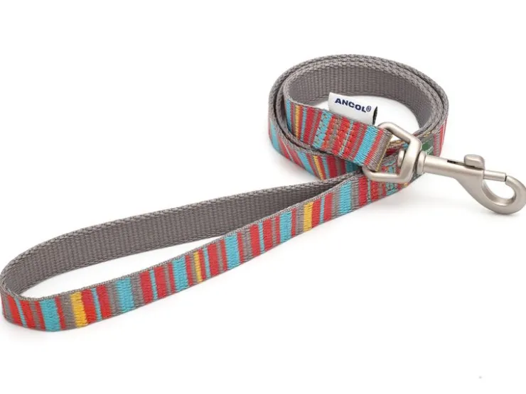 USPCA ANCOL ORANGE CANDY STRIPE LEAD