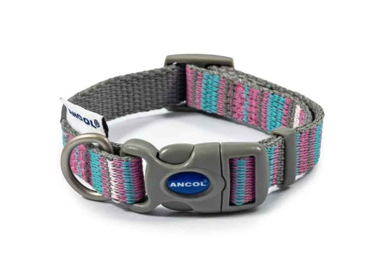 USPCA ANCOL PINK CANDY STRIPE COLLAR