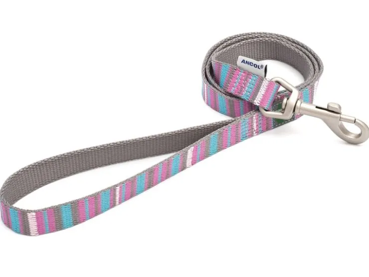 USPCA ANCOL PINK CANDY STRIPE LEAD
