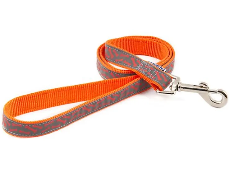 USPCA ANCOL REFLECT BONE ORANGE LEAD