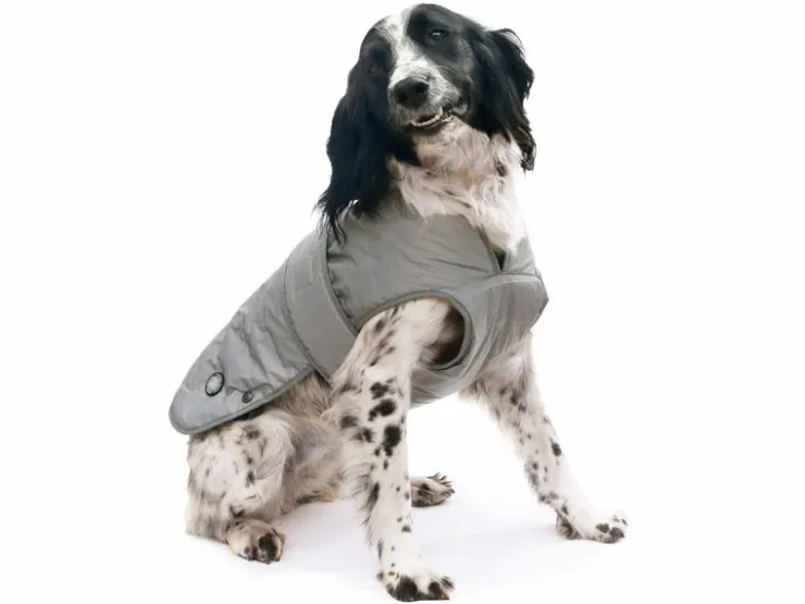 USPCA ANCOL ULTRA REFLECT DOG COAT