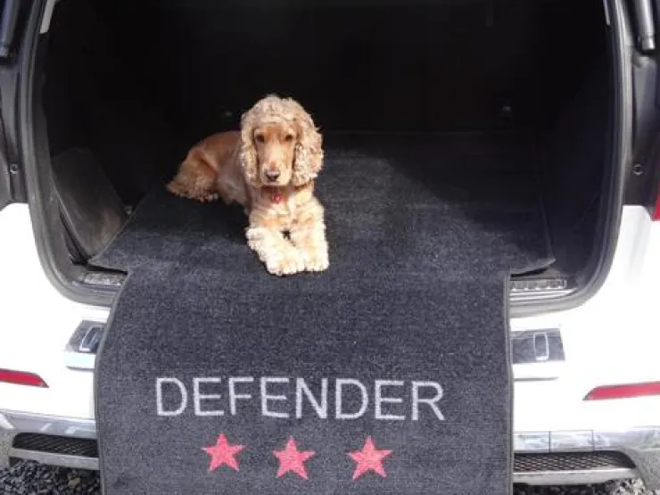 USPCA DEFENDER CAR PROTECTION