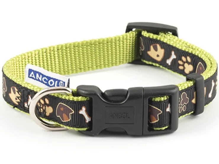 USPCA DOG & KENNEL COLLAR