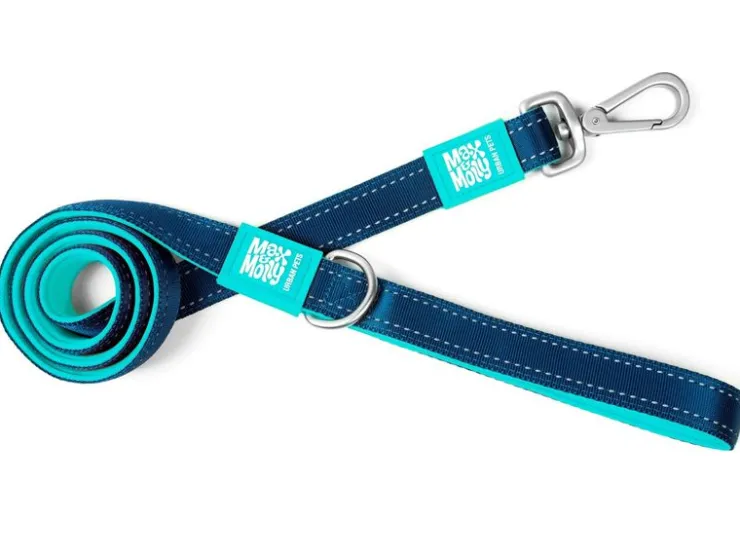 USPCA M&M MATRIX BLUE LEAD